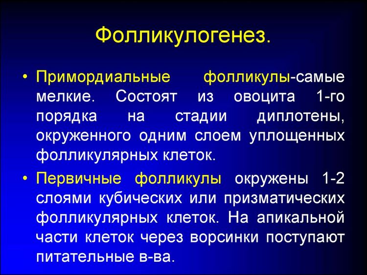 Коли потрібно робити фолікулогенез?