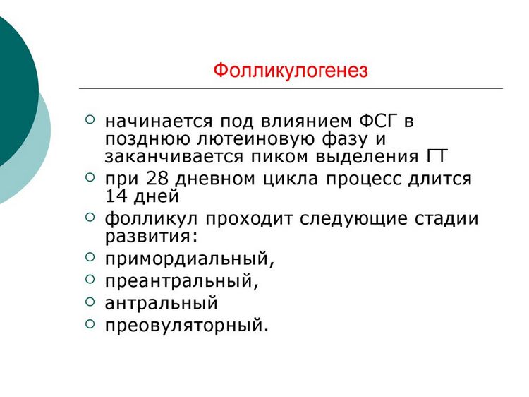 Коли потрібно робити фолікулогенез?