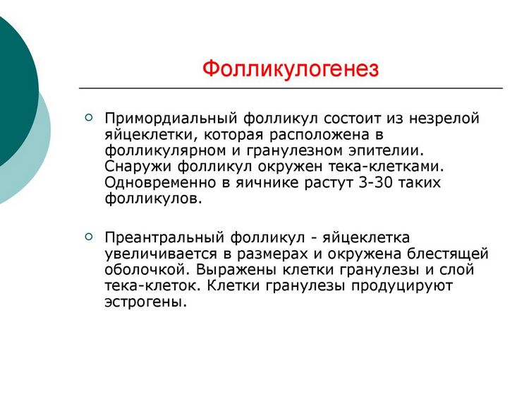 Коли потрібно робити фолікулогенез?