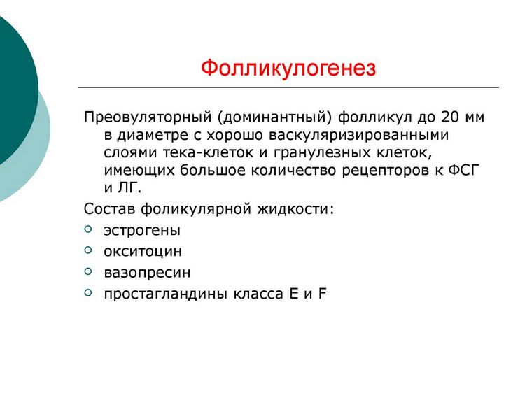 Коли потрібно робити фолікулогенез?